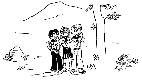 smaspeidermote_i_skogen.png